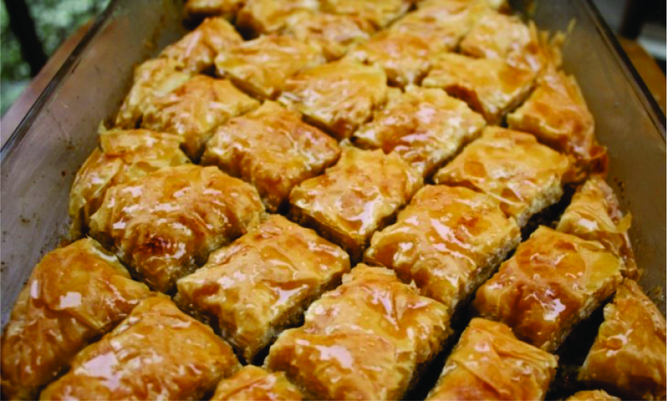 Produkte Dr. Chef për pjekurina